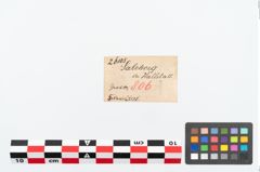 Etikett zu Bronzekugelkopfnadel (NHMW-PRAE-026105)